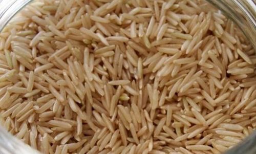 Common Long Grain 1509 Brown Basmati Rice