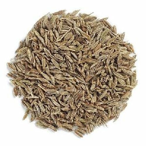 Light Green Natural Cumin Seeds For Cooking