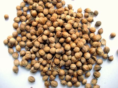 Natural Dry Coriander Seeds