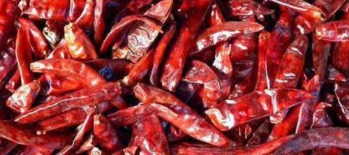 Special Indian Dry Red Chili Grade: Food