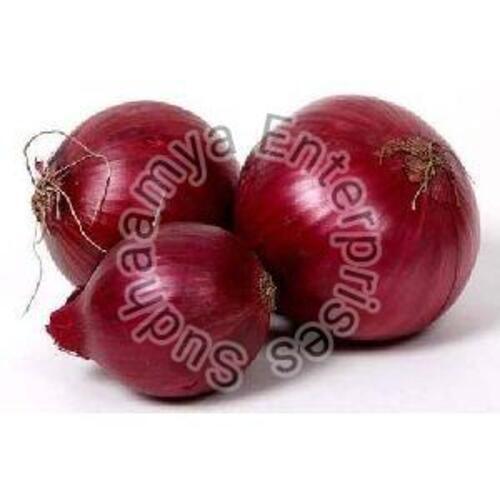 Fresh Red Onion for Cooking