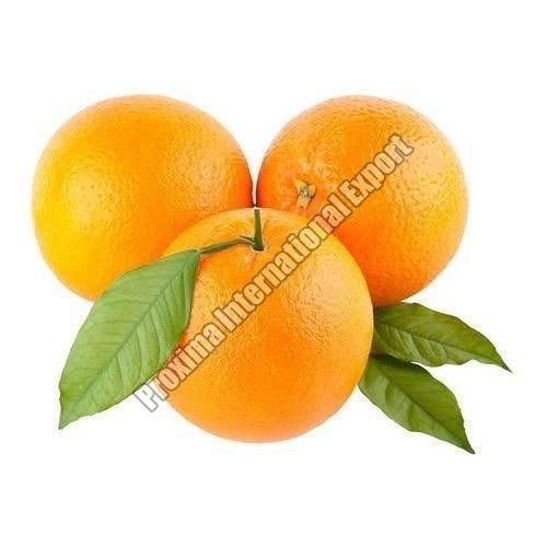 Fresh Organic Whole Mandarin Orange - Standard Size, Round Shape | Very Good Quality, Natural Taste, Non Harmful