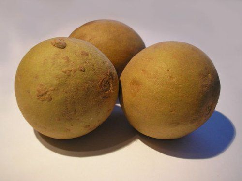 Brown Healthy And Natural Fresh Sapota