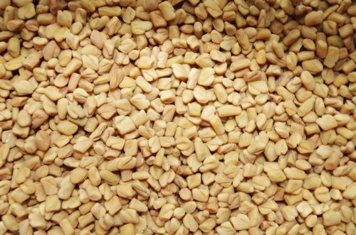 Yellow Machine Cleaned Fenugreek Seed