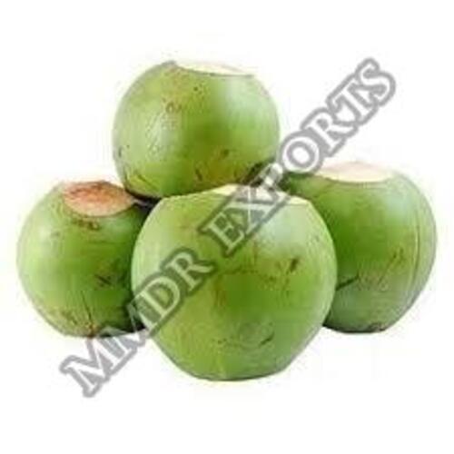 Natural and Fresh Tender Coconut