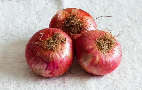 New Cultivated Red Onion 