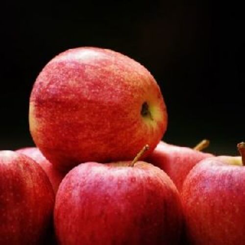 A Grade Fresh Red Apple