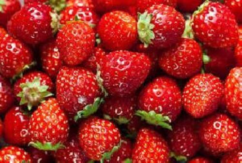 A Grade Fresh Strawberry Fruit