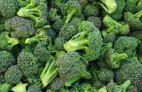 Fresh Green Broccoli For Cooking