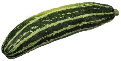 Fresh Green Zucchini For Cooking Preserving Compound: Cool & Dry Places