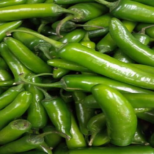 Healthy and Natural Fresh Green Chilli