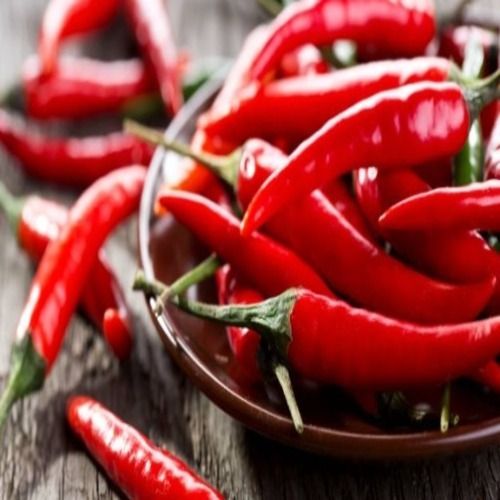 Healthy and Natural Red Chillies