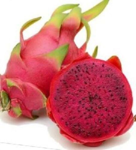 Organic Red Dragon Fruit Origin: India / Vietnam