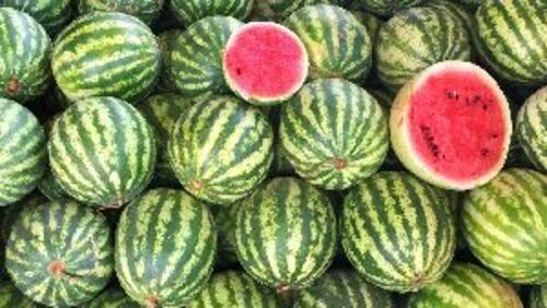 A Grade Fresh Green Watermelon