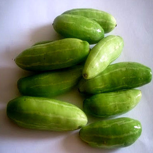 Healthy and Natural Fresh Ivy Gourd
