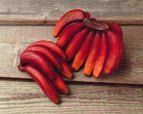 Healthy And Natural Red Banana