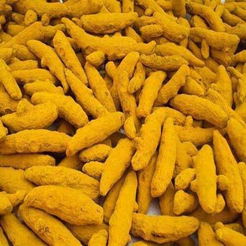 Yellow Healthy And Natural Turmeric Finger