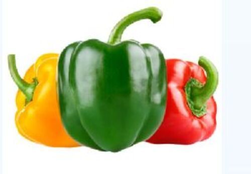 Natural Fresh Capsicum for Cooking