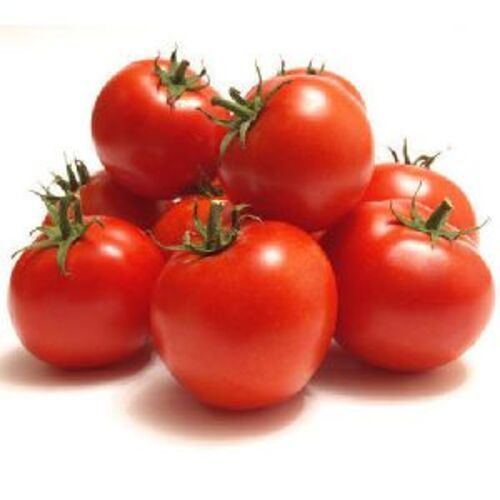 Natural Fresh Tomato for Cooking