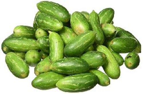 Fresh Green Tendli For Cooking Preserving Compound: Cool & Dry Places
