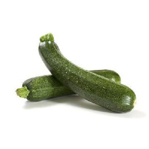 Fresh Green Zucchini For Cooking Preserving Compound: Cool & Dry Places
