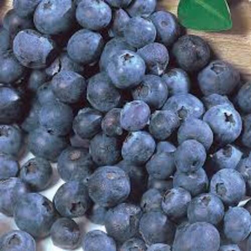 Blue Healthy And Natural Fresh Blueberry