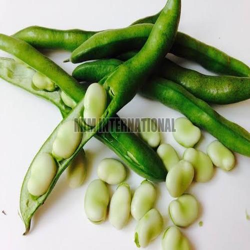 Green Healthy And Natural Fresh Broad Beans