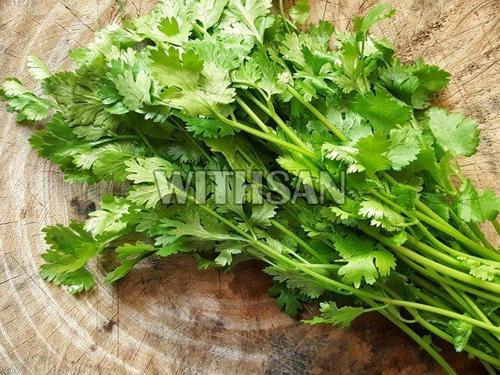 Healthy And Natural Fresh Coriander Leaves Shelf Life: 1 Week