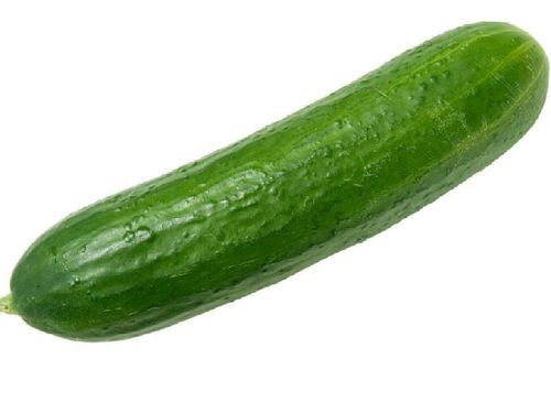 Healthy and Natural Fresh Cucumber