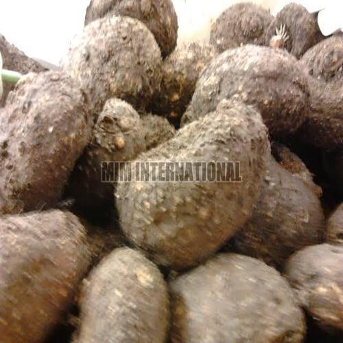 Healthy and Natural Fresh Elephant Foot Yam