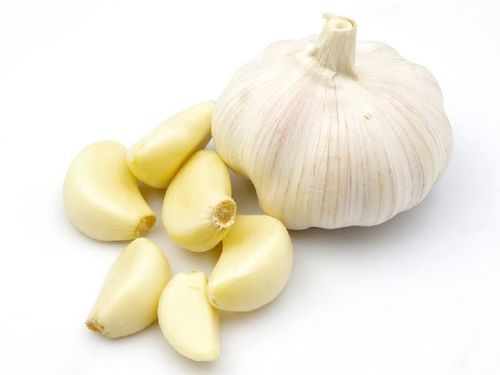 Healthy and Natural Fresh Garlic