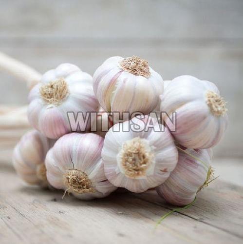 Organic Off White Garlic - 99% Maturity, Very Good Quality | Fresh, Natural, Packaged in Gunny & Net Bags