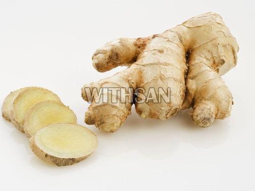 Fresh Organic Ginger - Raw Light Brown, No Artificial Flavour, No Preservatives, Packed in Jute Bags & Plastic Packets