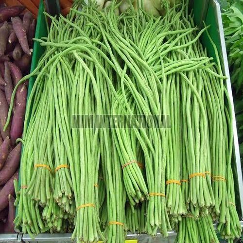 Green Healthy And Natural Fresh Long Beans