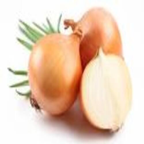 Healthy and Natural Fresh Onion