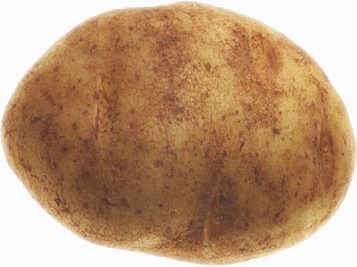 Healthy and Natural Fresh Potato