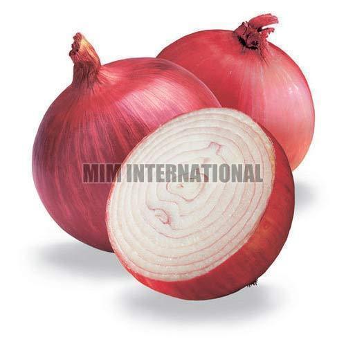 Healthy and Natural Fresh Red Onion