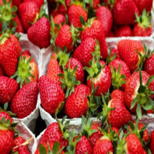 Organic Healthy And Natural Fresh Strawberry