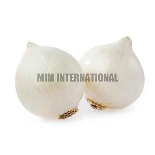 Healthy And Natural Fresh White Onion