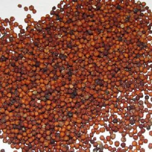 Natural Finger Millet Seeds