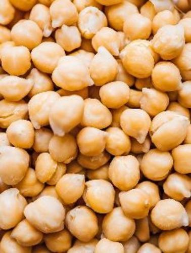 Organic White Chickpeas For Food Grain Size: 6Mm - 8 Mm