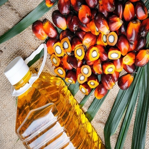 Natural RBD Palm Oil