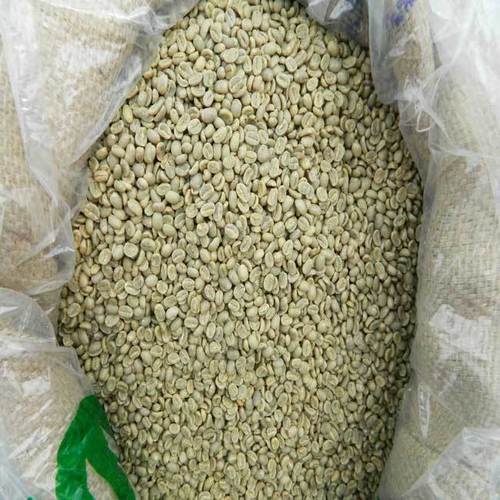 Organic Green Coffee Beans Processing Type: Raw