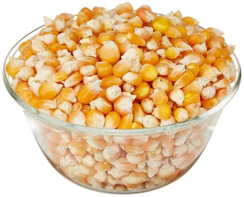 Organic Yellow Corn Grain