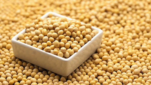 Organic Yellow Soybeans Purity: 99.9%