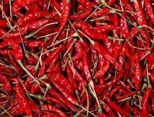 100% Pure And Natural Dry Red Chilli