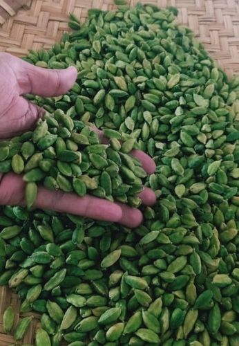 100% Pure And Natural Fresh Green Cardamom Grade: A-Grade