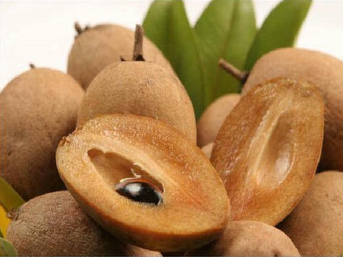 Fresh Brown Sapodilla Fruits