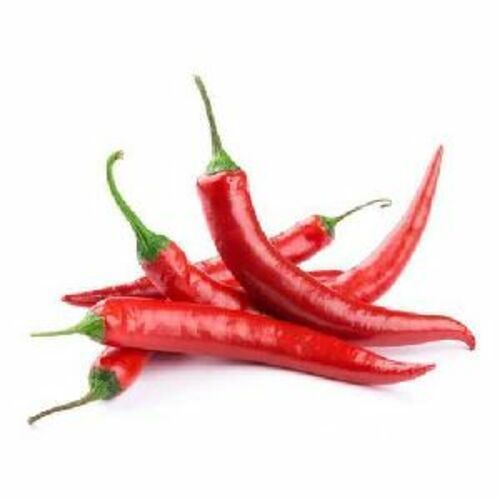 Fresh Red Chilli for Cooking