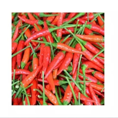 Fresh Red Pepper